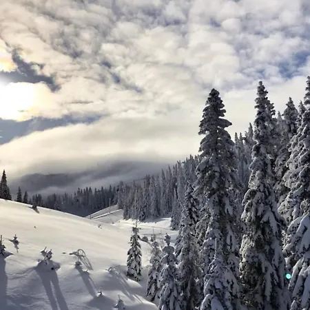 דירה A 2-4 In Vucko